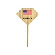 food bamboo steak picks